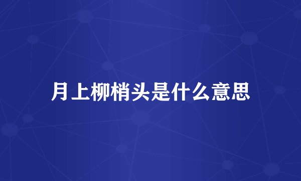 月上柳梢头是什么意思