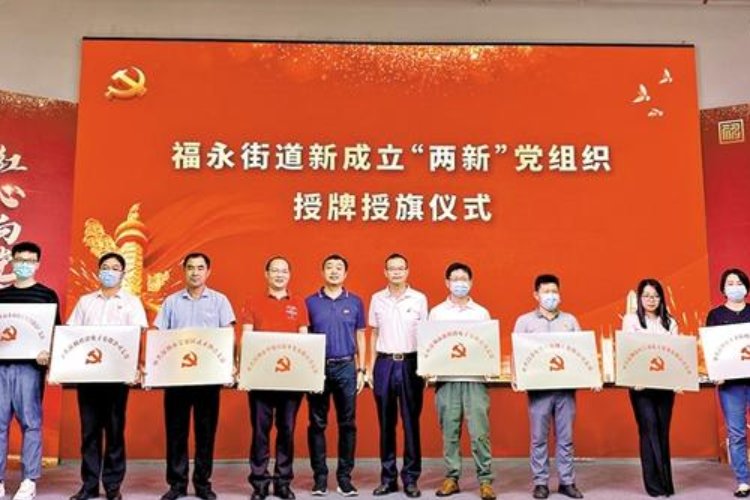 两新组织指的是