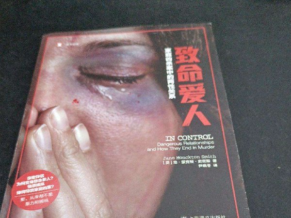 致命爱人许峰和宁珊大结局