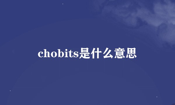 chobits是什么意思