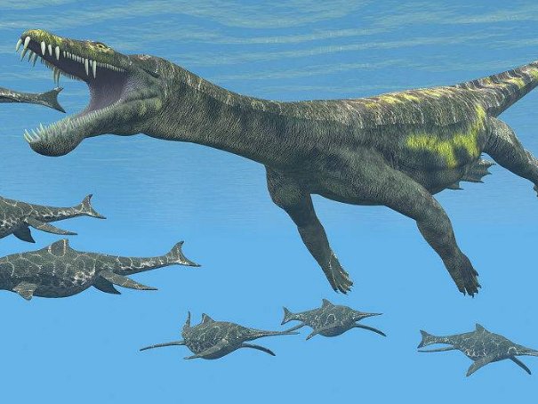 幻龙是什么东西