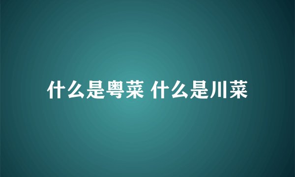 什么是粤菜 什么是川菜