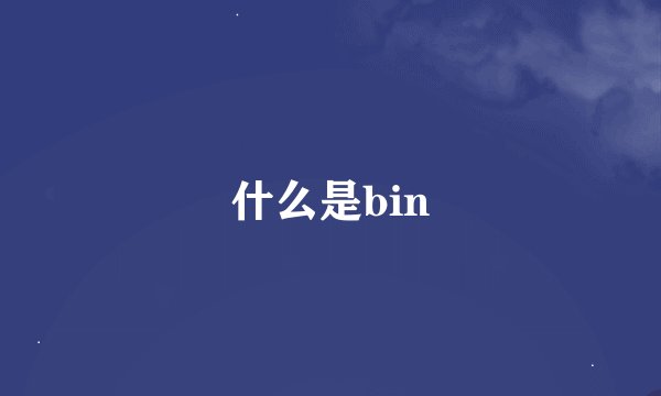 什么是bin