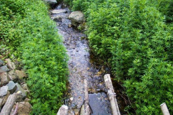 汩汩的意思解释