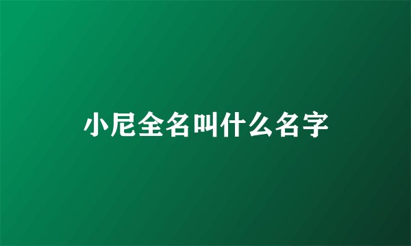 小尼全名叫什么名字