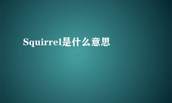 Squirrel是什么意思