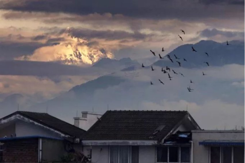 形容盼望的句子夸张句