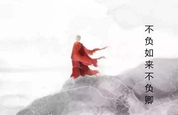 不负如来不负卿的意思是什么？