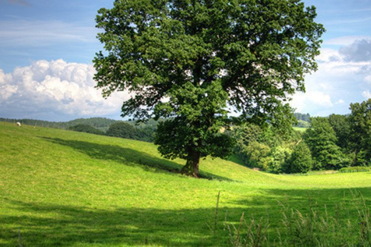 宽的笔画顺序怎么写