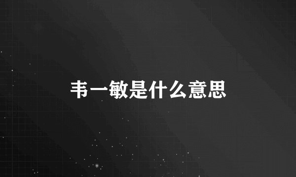 韦一敏是什么意思