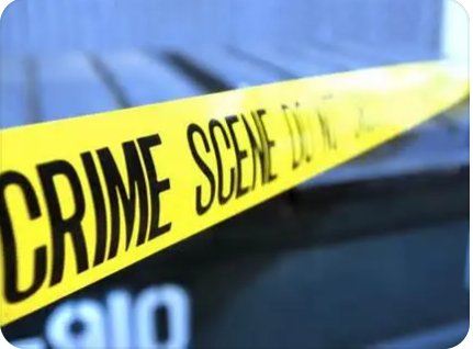 criminal是什么意思