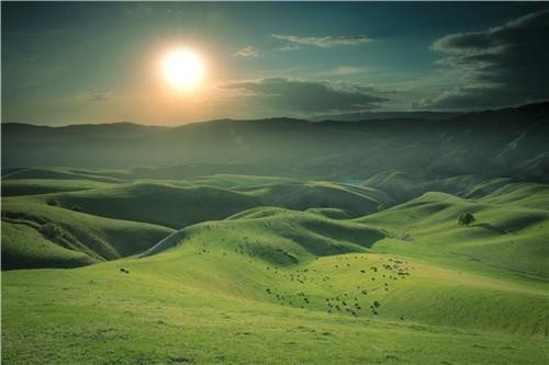 草木蔓发，春山可望是什么意思？