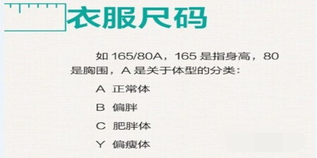 165的衣服是什么码的？