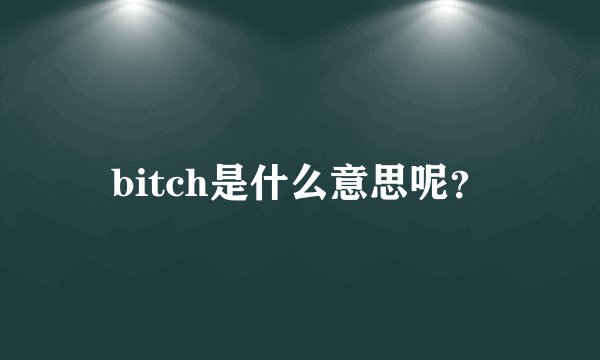 bitch是什么意思呢？