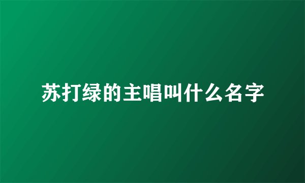 苏打绿的主唱叫什么名字