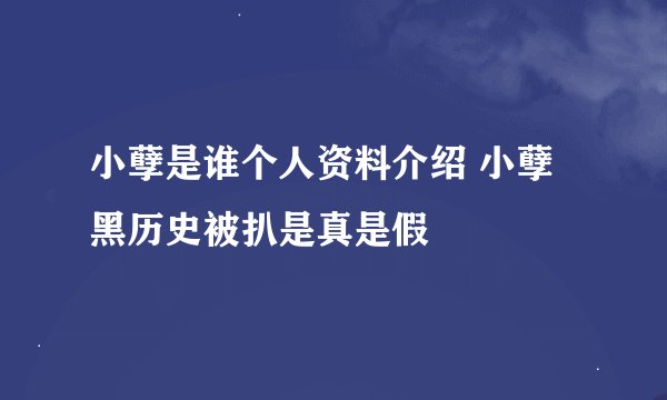 小孽是谁个人资料介绍 小孽黑历史被扒是真是假