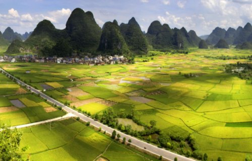 广西985大学有哪些？