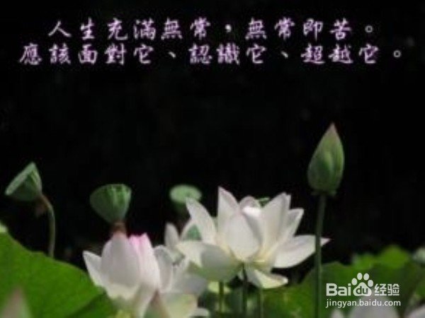 如何做到坦然面对?