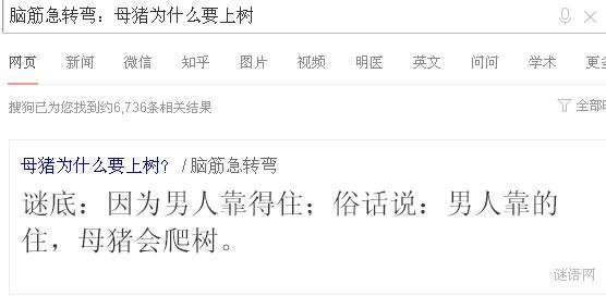 脑筋急转弯：母猪为什么要上树