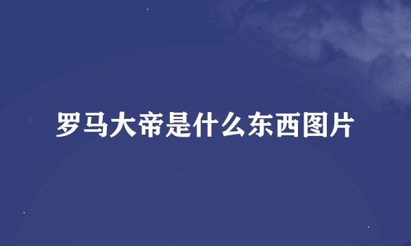 罗马大帝是什么东西图片