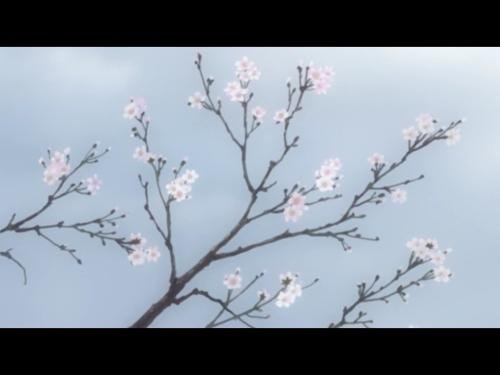 古人的「长啸」是怎么一回事？