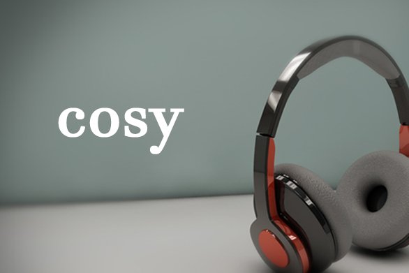 cosy是什么意思啊
