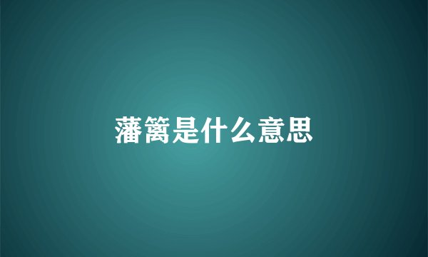 藩篱是什么意思