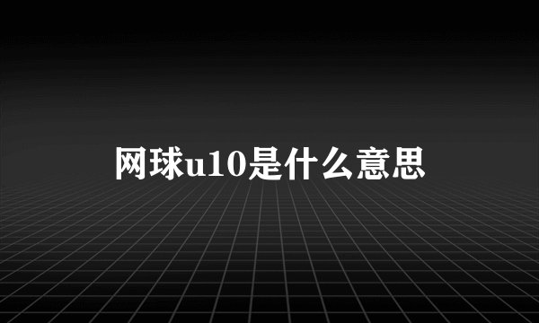 网球u10是什么意思
