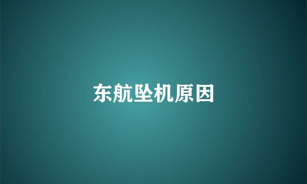 东航坠机原因