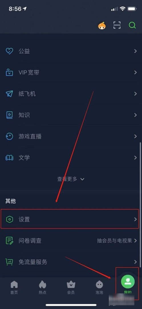 如何将爱奇艺设置成国际版的？