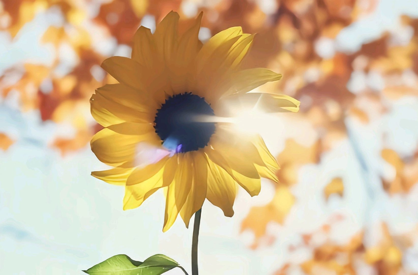 世界上最危险的工作有哪些？