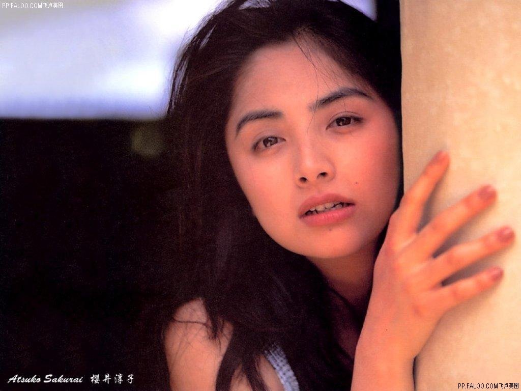 樱井淳子的电视作品