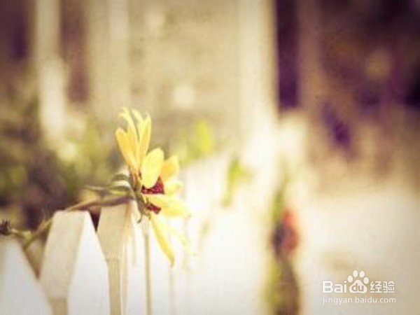 如何做到坦然面对?