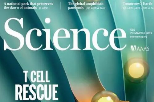 王莽穿越的十大物证