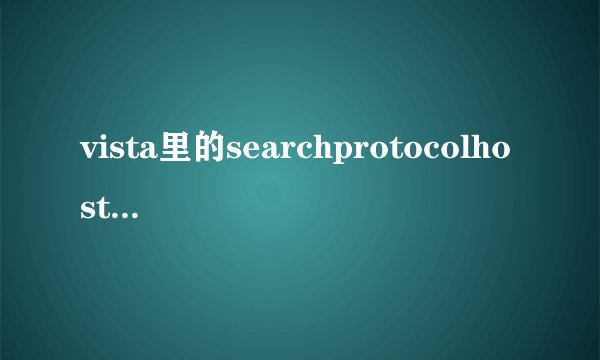 vista里的searchprotocolhost.exe进程占用很大的CPU，可以结束它吗？