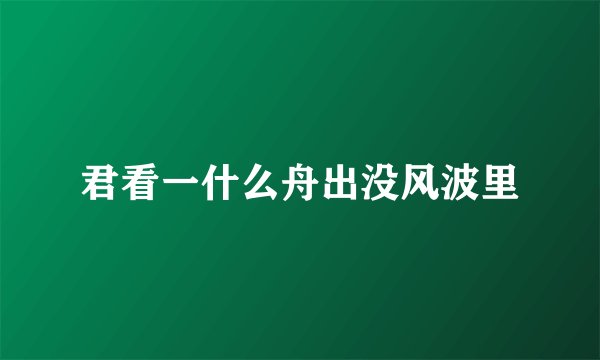 君看一什么舟出没风波里