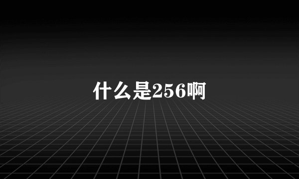 什么是256啊
