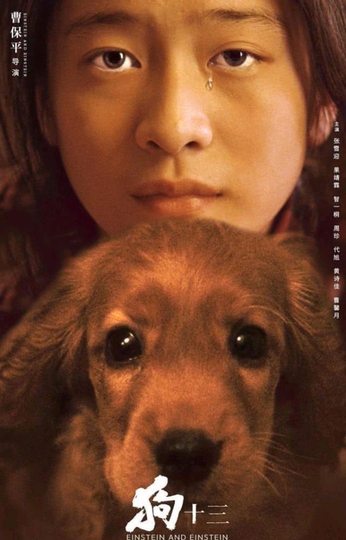 国产电影推荐:国产也有好电影