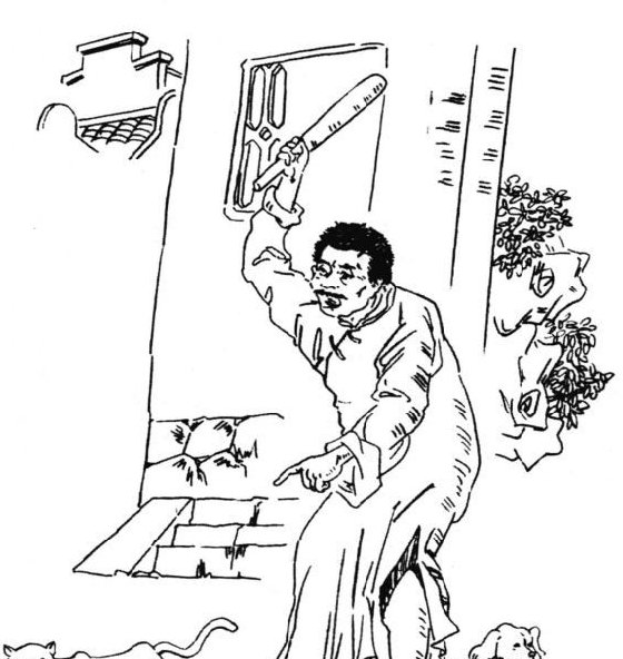 狗，猫，鼠各指什么？