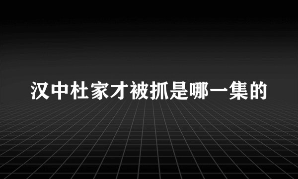汉中杜家才被抓是哪一集的