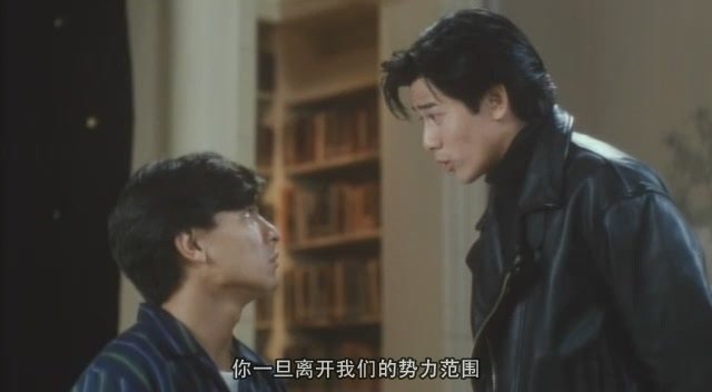 真假威龙的剧情简介