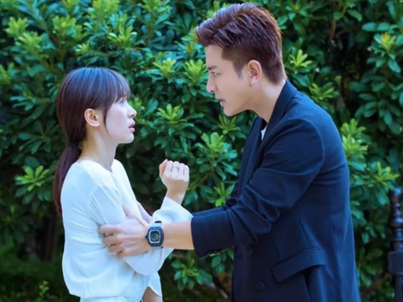 王子文演过的电视剧