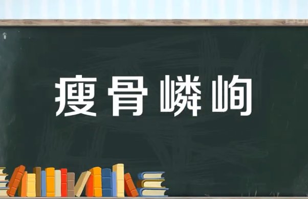 瘦骨什么什么成语