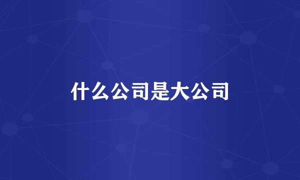 什么公司是大公司