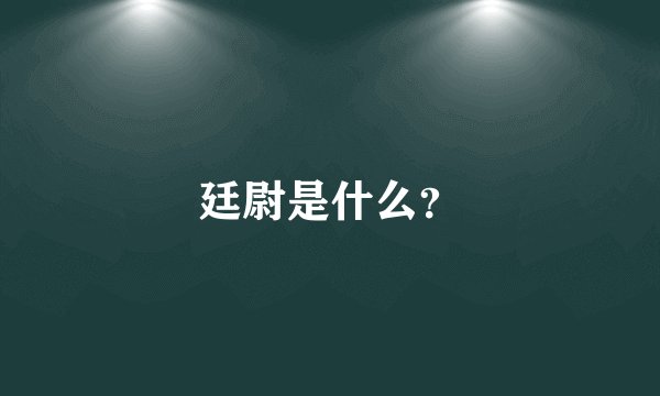 廷尉是什么？