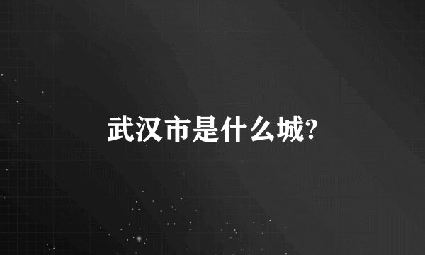 武汉市是什么城?