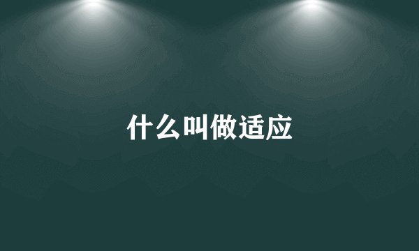 什么叫做适应
