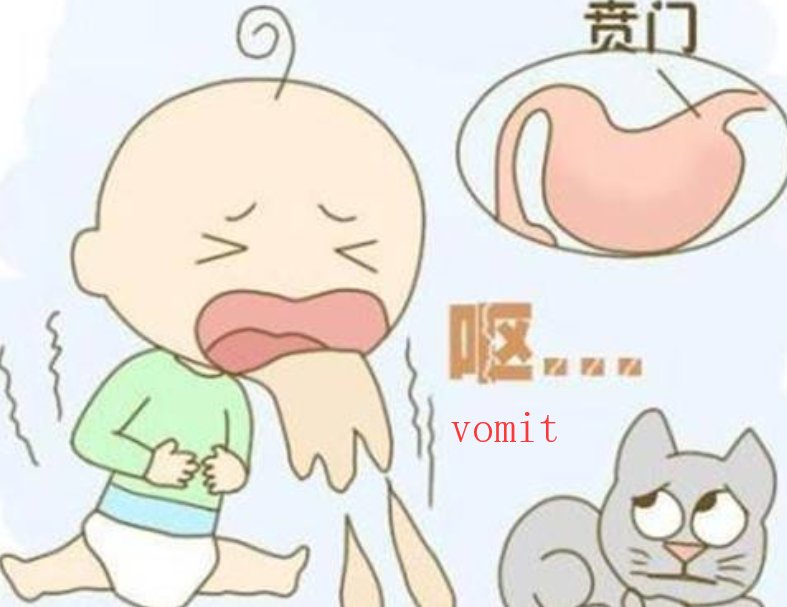 呕吐英语怎么说