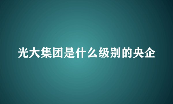 光大集团是什么级别的央企