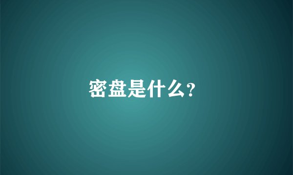 密盘是什么？